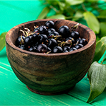 Eleuthero as a Sugar Defender Ingredient