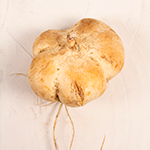 Maca root as a sugar defender ingredient